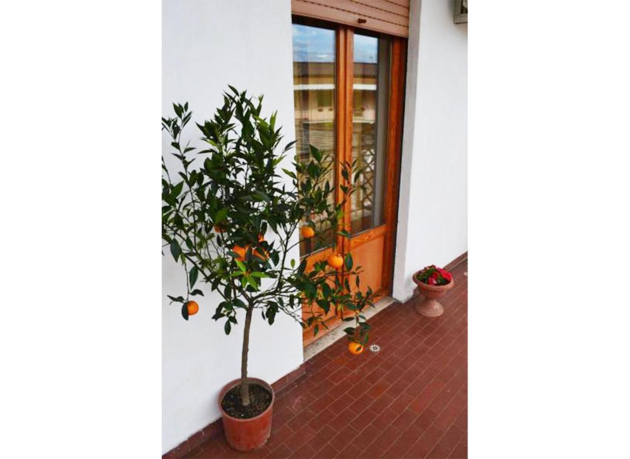 Casa Celeste Casa de hóspedes